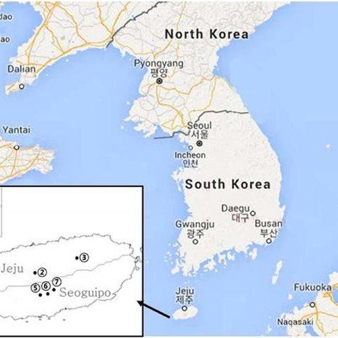 Najbardziej wyjątkowa wyspa Korei – Wyspa Jeju