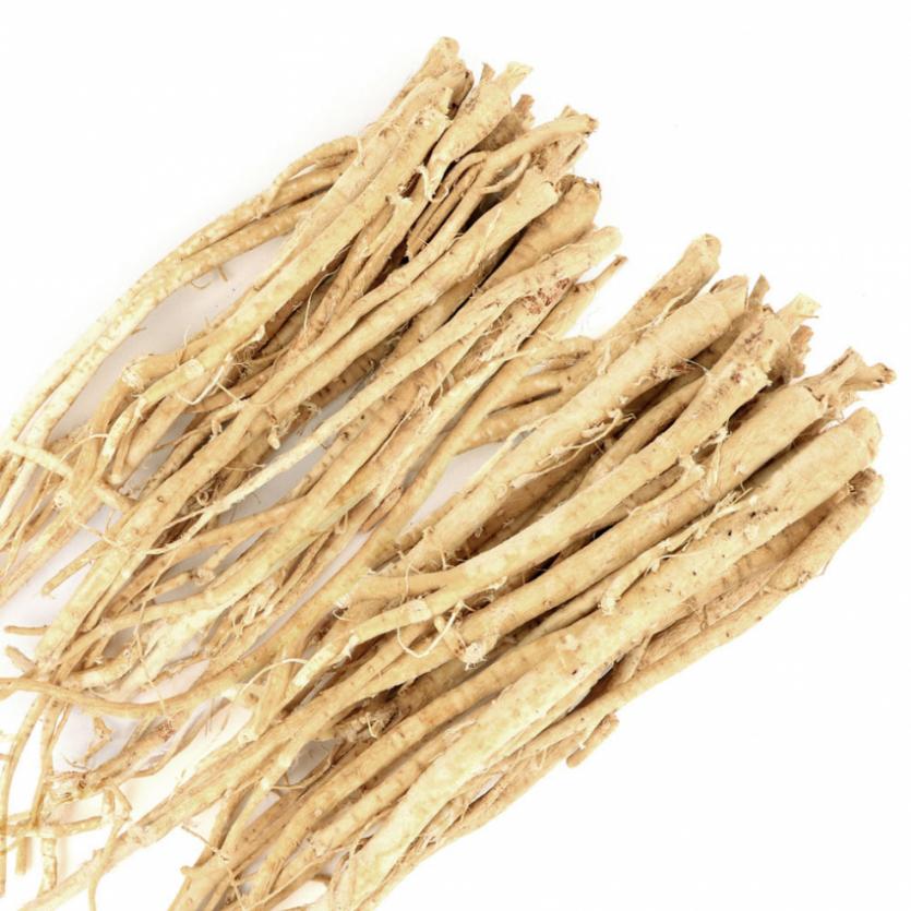 Astragalus