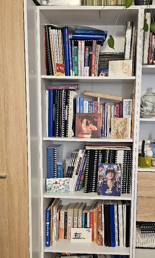 biblioteczka Kasi z książkami koreańskimi